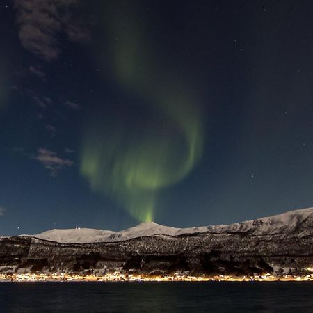 Apartamento Veien Til Senja Finnsnes Exterior foto