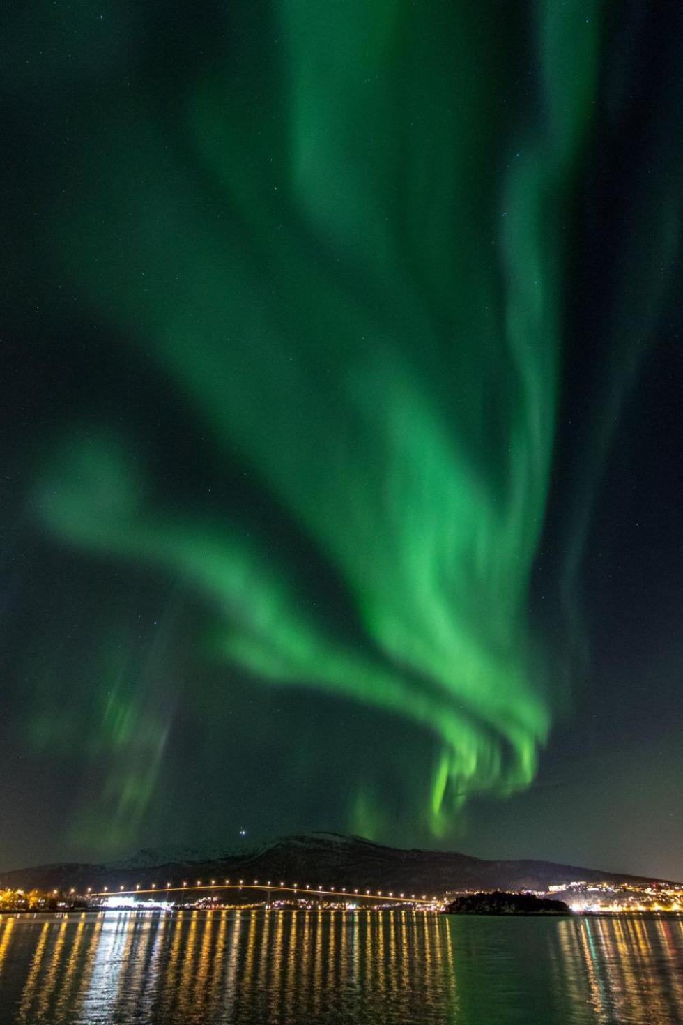 Apartamento Veien Til Senja Finnsnes Exterior foto